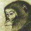 Monkey God's Icon